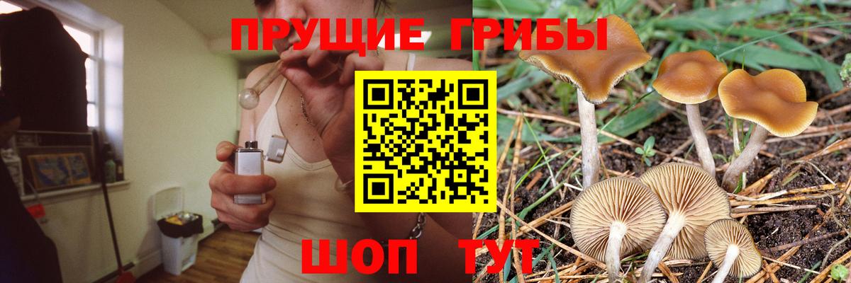 Камышлов  закладка  Галлюциногенные грибы прущие грибы  Вход с VPN  Псилоцибиновые грибы GOLDEN TEACHER 